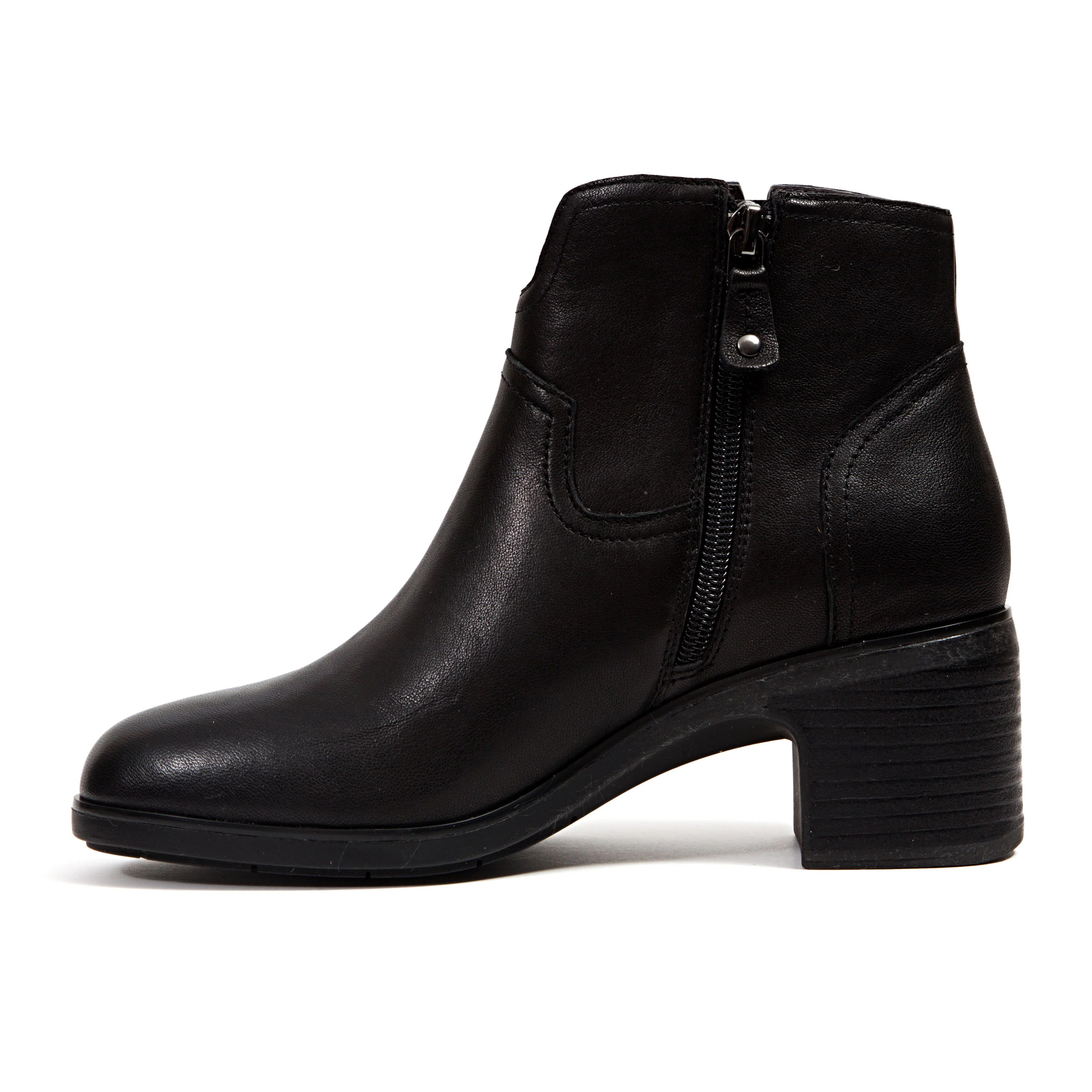 Vanda - Black